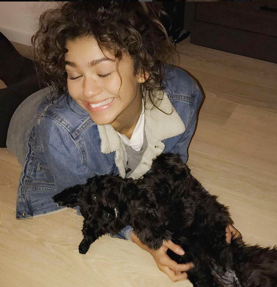 Celebs and Their Adorable Furry Friends
